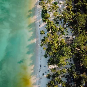 Cielo Y Selva Punta Allen